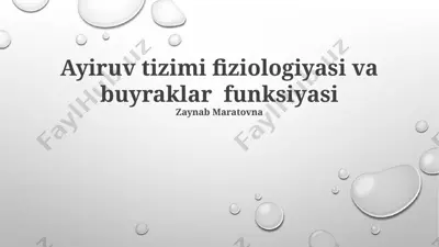 ayiruv tizimi fiziologiyasi va buyraklar funksiyasi — PPTX