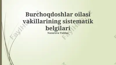 burchoqdoshlar oilasi vakillarining sistematik belgilari — PPTX