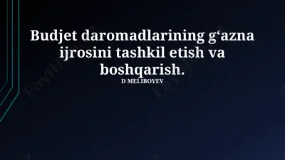 budjet daromadlarining g‘azna ijrosini tashkil etish va boshqarish — PPTX