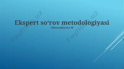 ekspert so'rovlari metodologiyasi — PPTX