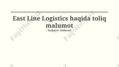 east line logistics haqida to'liq malumot — PPTX