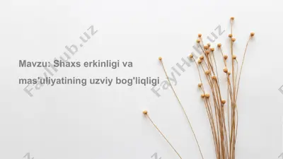 shaxs erkinligi va mas'uliyatining uzviy bog'liqligi — PPTX