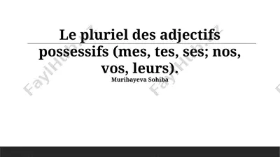 le pluriel des adjectifs possessifs (mes, tes, ses; nos, vos, leurs). — PPTX