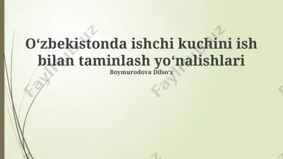 oʻzbekistonda ishchi kuchini ish bilan taminlash yoʻnalishlari — PPTX