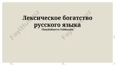 лексическое богатство русского языка — PPTX