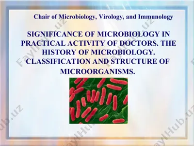 microbiology in practical activity of doctors — PPT