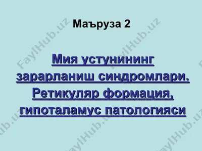 мия устунининг зарарланиш синдромлари — PPT