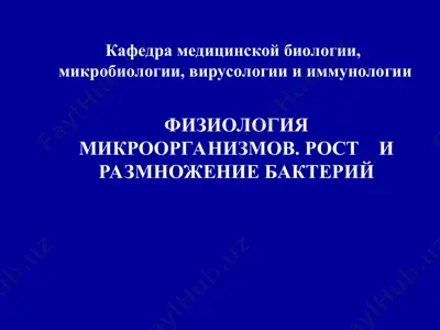 физиология микроорганизмов. рост и размножение бактерий — PPT