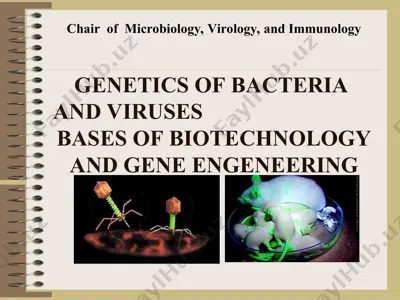 genetics of bacteria and viruses — PPT