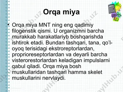 orqa miya — PPT
