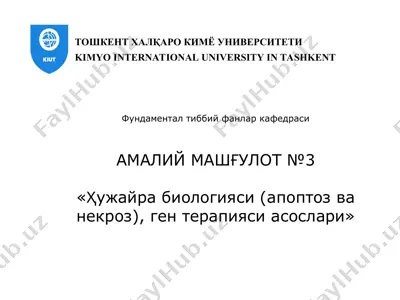 фундаментал тиббий фанлар кафедраси — PPT