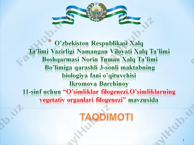 o’simliklar filogenezi — PPT