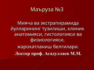 miacha va ekstrapiramida yullarining tuzilishi — PPT
