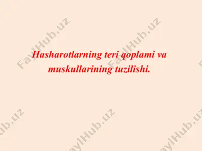 hasharotlarning teri qoplami va muskullarining tuzilishi — PPT