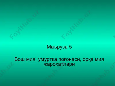 bo'sh miya, umurtqa po'gonasi, orqa miya jarohatlari — PPT