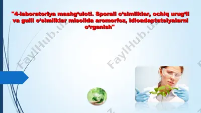 4-laboratoriya mashg‘uloti. sporali o‘simliklar, ochiq urug‘li va gulli o‘simliklar misolida aromorfoz, idioadaptatsiyalarni o‘rganish — PPT