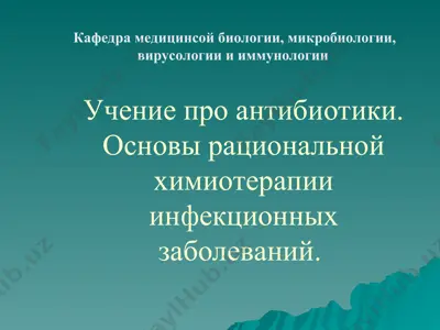 учение про антибиотики — PPT