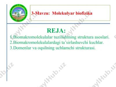 biomakromolekulalar tuzilishining struktura asoslari. — PPT