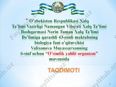 o'simlik organlari tizimi — PPT