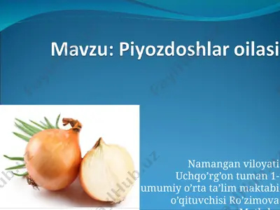 piyozdoshlar oilasi haqida ma'lumot — PPT