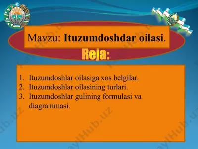 ituzumdoshlar oilasi — PPT