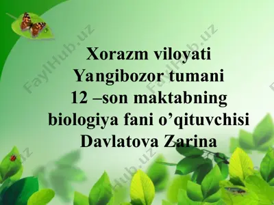 sutemizuvchilarning xilma-xilligi: tuxum qo'yuvchilar, xaltalilar, yo`ldoshlilar — PPT