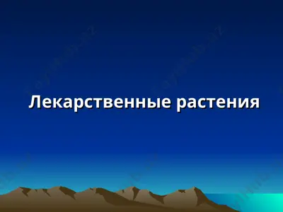 лекарственные растения — PPT