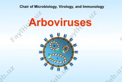 arboviruses — PPT