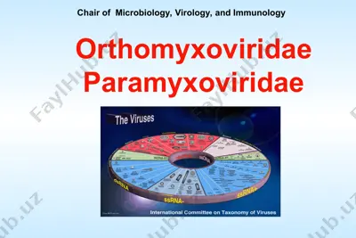 orthomyxovirus (influenza) — PPT