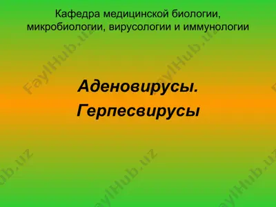 аденовирусы — PPT