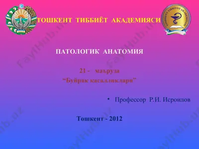 "буйрак касалликлари" — PPT