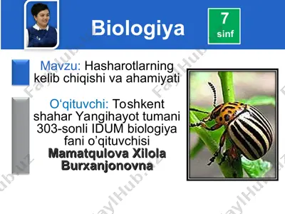 hasharotlarning kelib chiqishi va ahamiyati — PPT