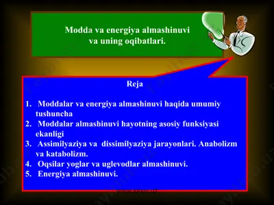 modda va energiya almashinuvi — PPT