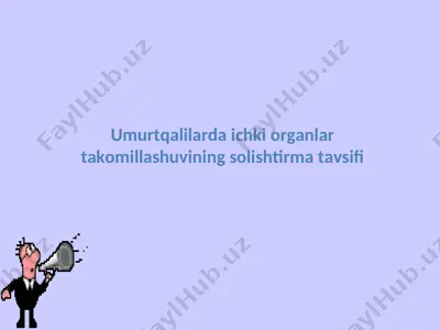 umurtqalilarda ichki organlar takomillashuvining solishtirma tavsifi — PPT