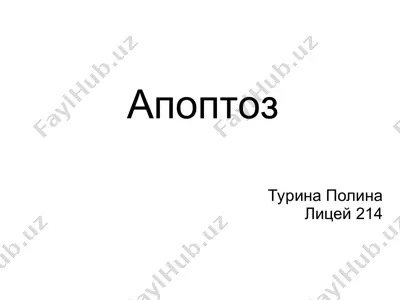апоптоз — PPT