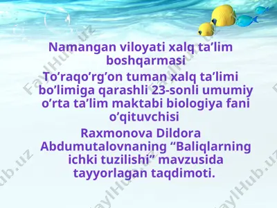 baliqlarning ichki tuzilishi taqdimoti — PPT