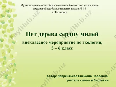 внеклассное мероприятие по экологии — PPT