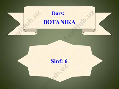 botanika — PPT