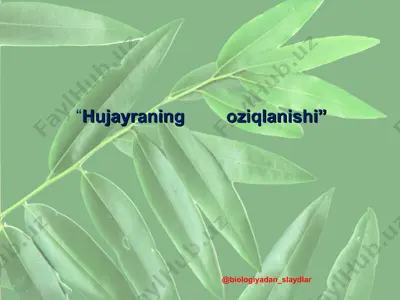 hujayraning 	oziqlanishi — PPT