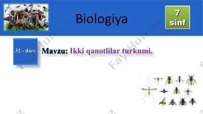 mustahkamlash tushunchalar tahlili — PPT