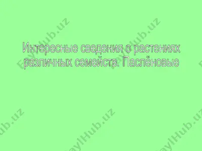 interesant mahsulotlar — PPT