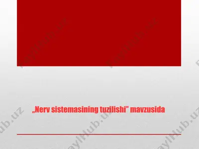 nerv sistemasining tuzilishi — PPT