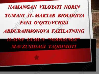 "noogenez" mavzusidagi taqdimot — PPT