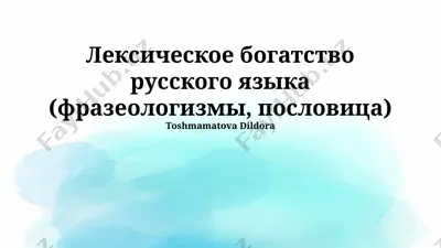 лексическое богатство русского языка (фразеологизмы, пословица) — PPTX