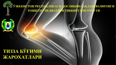 tizza bўғimi jaroxlarи — PPT