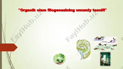 organik olam filogenezining umumiy tasnifi — PPT