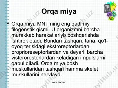 orqa miya — PPT