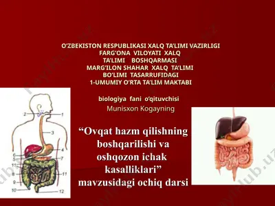 ovqat hazm qilishning boshqarilishi — PPT
