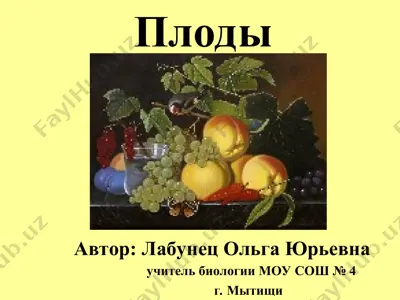 плоды — PPT