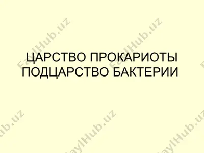 царство прокариоты — PPT